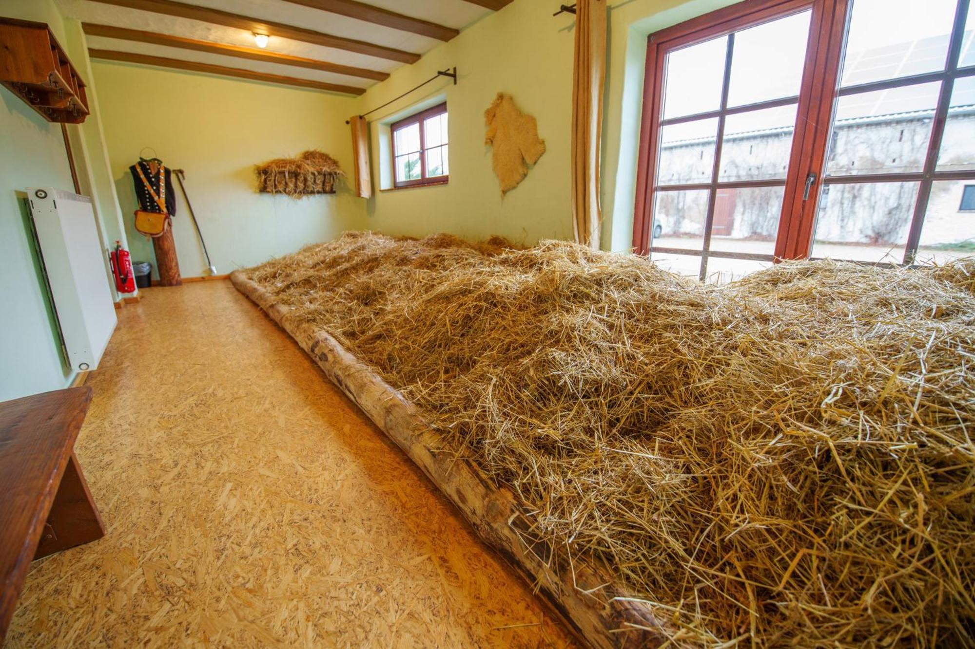 Scheunenherberge Unterspreewald Exteriör bild
